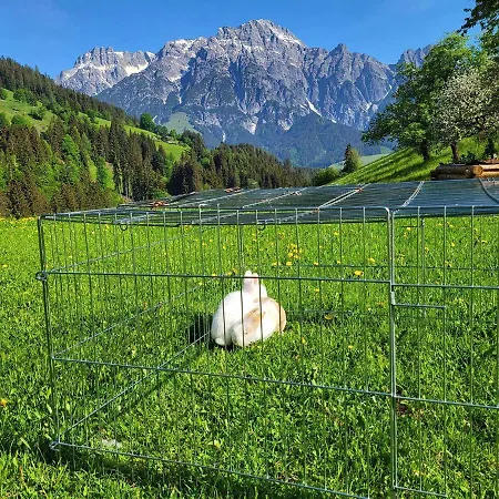 Almliesl Leog-685 Apartman Leogang