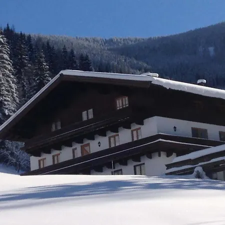 Almliesl Leog-685 Leogang
