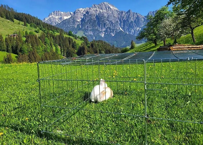 Almliesl Leog-685 Apartamento Leogang